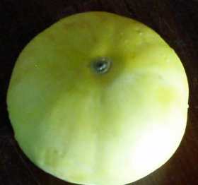 Figure 3: Peculiar shape and striations in a melon